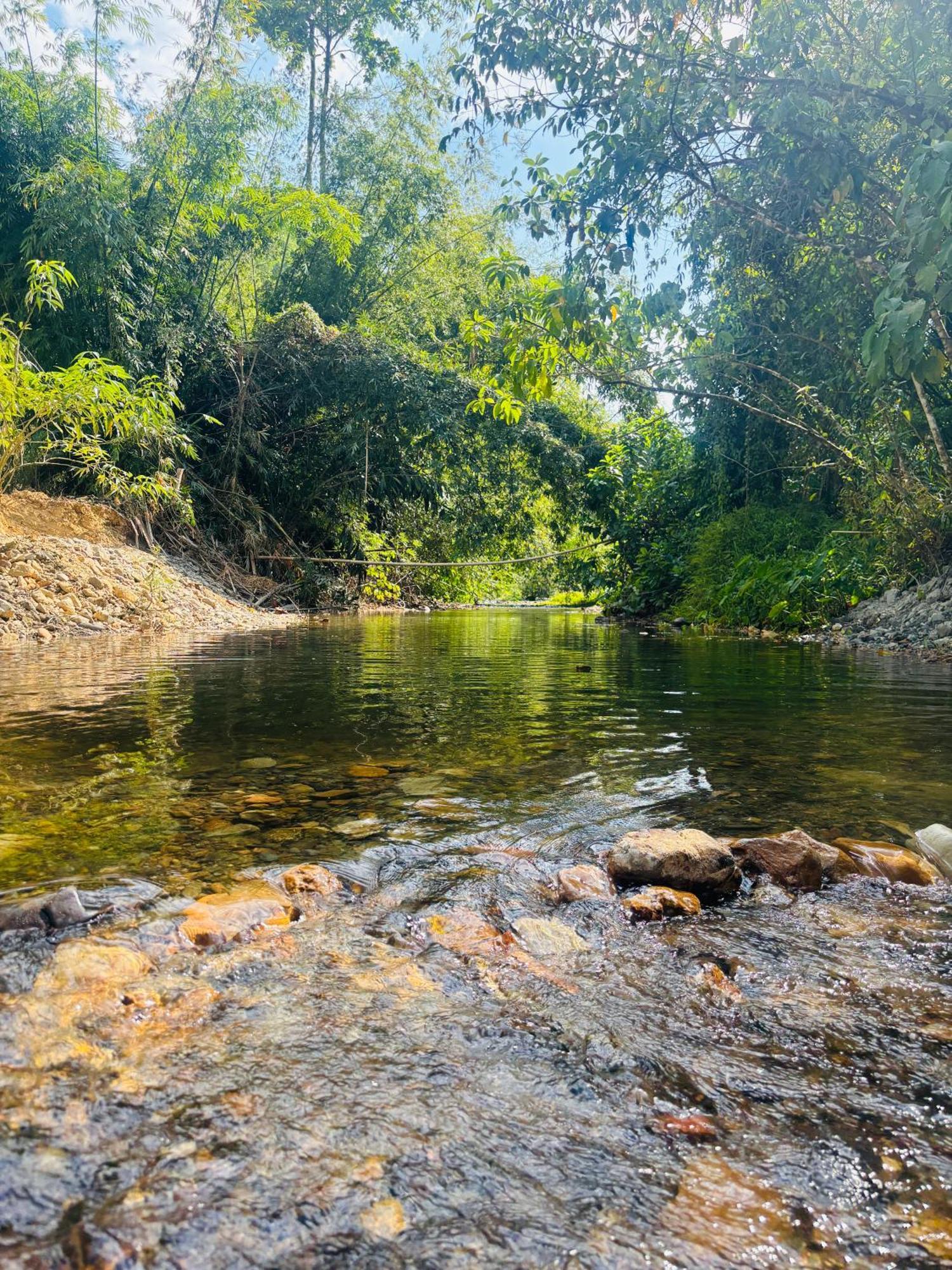 Camping Phutajoy Khaosok แคมป์ปิ้งภูตาจ้อยเขาศก Ban Thung Lang Tham Екстериор снимка